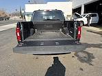 2021 Ford F-150 SuperCrew Cab 4x2 Pickup for sale #24358 - photo 23