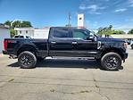2019 Ford F-250 Crew Cab 4x4 Pickup for sale #24386 - photo 9