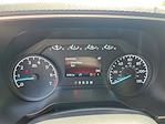 2021 Ford F-150 SuperCrew Cab 4x2 Pickup for sale #24418 - photo 14