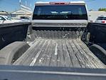 2023 Chevrolet Silverado 2500 Crew Cab 4x4 Pickup for sale #24517 - photo 9
