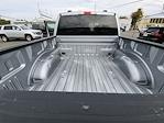 2023 Ford F-150 SuperCrew Cab RWD Pickup for sale #25131 - photo 19