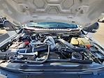 2024 Ford F-250 Crew Cab 4WD Pickup for sale #25132 - photo 17