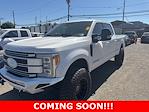2017 Ford F-250 Crew Cab 4WD Pickup for sale #25145 - photo 1