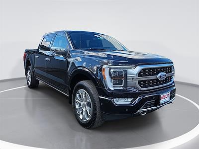 2022 Ford F-150 SuperCrew Cab 4WD Pickup for sale #25189 - photo 1