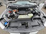 2021 Ford F-150 SuperCrew Cab 4WD Pickup for sale #25334 - photo 17