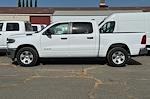 2025 Ram 1500 Crew Cab 4x2 Pickup for sale #T35123 - photo 6