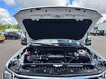 2024 Chevrolet Silverado 3500 Crew Cab 4x4 Pickup for sale #C5973 - photo 11
