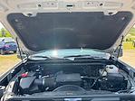 2024 Chevrolet Silverado 2500 Crew Cab 4x4 Pickup for sale #C5980 - photo 20