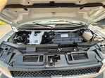 2024 Chevrolet Express 3500 RWD Passenger Van for sale #C6030 - photo 11