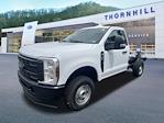 2024 Ford F-250 Regular Cab 4WD, Cab Chassis for sale #24F453 - photo 1