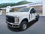 2024 Ford F-250 Regular Cab 4WD, Cab Chassis for sale #24F469 - photo 1