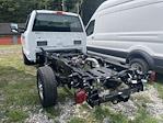 2024 Ford F-250 Regular Cab 4WD, Cab Chassis for sale #24F469 - photo 2