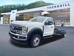 2024 Ford F-550 Regular Cab DRW 4WD, Cab Chassis for sale #24F494 - photo 1