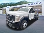 2024 Ford F-450 Regular Cab DRW 4WD, Cab Chassis for sale #24F619 - photo 1