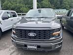 2025 Ford F-150 SuperCrew Cab 4WD Pickup for sale #25F252 - photo 3