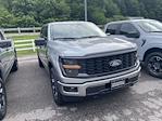 2025 Ford F-150 SuperCrew Cab 4WD Pickup for sale #25F254 - photo 4