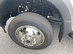 2025 Ford F-450 Crew Cab DRW 4WD Cab Chassis for sale #25F417 - photo 6