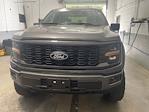 2025 Ford F-150 SuperCrew Cab 4WD Pickup for sale #25F581 - photo 3