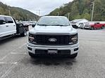 2025 Ford F-150 SuperCrew Cab 4WD Pickup for sale #25F595 - photo 3