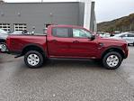 New 2025 Ford Ranger XL SuperCrew Cab Pickup for sale #25F622 - photo 4