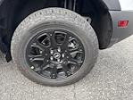 2025 Ford Bronco Sport 4WD SUV for sale #25F684 - photo 11
