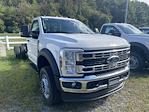 2026 Ford F-600 Regular Cab DRW 4WD Cab Chassis for sale #26F011 - photo 4