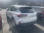 New 2026 Ford Escape ST-Line Select for sale #26F137 - photo 2