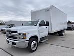 New 2024 Chevrolet Silverado 6500 Box Truck for sale #242198 - photo 17
