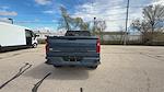2024 Chevrolet Silverado 1500 Double Cab 4x4 Pickup for sale #251075A - photo 7