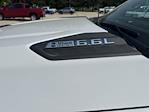 New 2025 Chevrolet Silverado 2500 Double Cab Service Truck for sale #251351 - photo 21