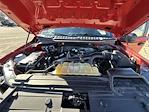 2019 Ford F-150 Super Cab 4WD Pickup for sale #251871A - photo 27