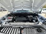 2024 Chevrolet Silverado 1500 Regular Cab RWD Pickup for sale #3063JKF - photo 26