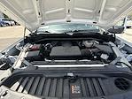 2024 Chevrolet Silverado 1500 Regular Cab RWD Pickup for sale #3064JKF - photo 26