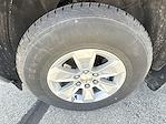 2024 Chevrolet Silverado 1500 Regular Cab RWD Pickup for sale #3064JKF - photo 29
