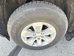 2024 Chevrolet Silverado 1500 Regular Cab RWD Pickup for sale #3064JKF - photo 30