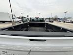 2024 Chevrolet Silverado 1500 Regular Cab RWD Pickup for sale #3066JKF - photo 23
