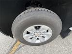2024 Chevrolet Silverado 1500 Regular Cab RWD Pickup for sale #3066JKF - photo 30
