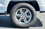 2024 Ford F-150 SuperCrew Cab 4WD Pickup for sale #M0031 - photo 30