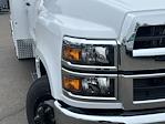 2023 Chevrolet Silverado 5500 Regular Cab DRW RWD, Knapheide Combo Body for sale #P0484 - photo 4