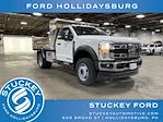 New 2025 Ford F-600 Regular Cab Dump Truck for sale #25FT389 - photo 1
