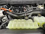 New 2025 Ford F-150 XLT SuperCrew Cab for sale #25FT861 - photo 16