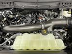 New 2025 Ford F-150 Tremor SuperCrew Cab for sale #25FT954 - photo 16