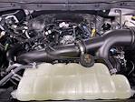 New 2026 Ford F-150 STX SuperCrew Cab for sale #26FT181 - photo 16