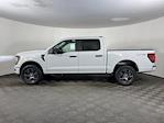 New 2026 Ford F-150 STX SuperCrew Cab for sale #26FT181 - photo 3