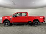 New 2026 Ford F-250 STX Crew Cab for sale #26FT37 - photo 2