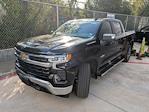 2024 Chevrolet Silverado 1500 Crew Cab RWD Pickup for sale #BCC15486 - photo 3