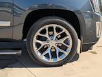 Used 2019 Cadillac Escalade Premium Luxury 4WD SUV for sale #C250262A - photo 31
