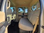 2017 Ford F-250 Crew Cab 4WD Pickup for sale #C260538A - photo 14