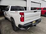 2023 Chevrolet Silverado 1500 Crew Cab 4WD Pickup for sale #C260568A - photo 6