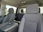 2024 Chevrolet Silverado 1500 Crew Cab 4WD Pickup for sale #C261080A - photo 13